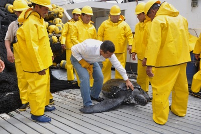 Gobierno promueve consumo de pescado para combatir la desnutrición infantil